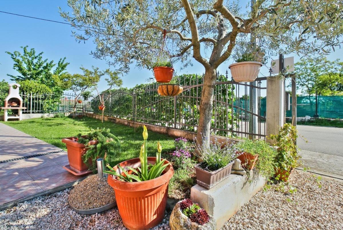 Lorena Apartments Umag Ngoại thất bức ảnh